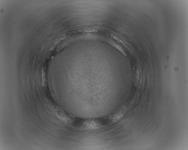 X0000070370704200606231647