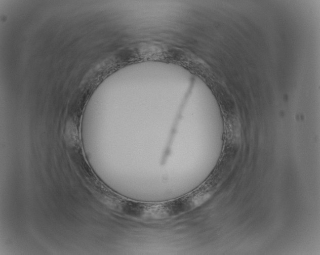 X0000070370705200606231647