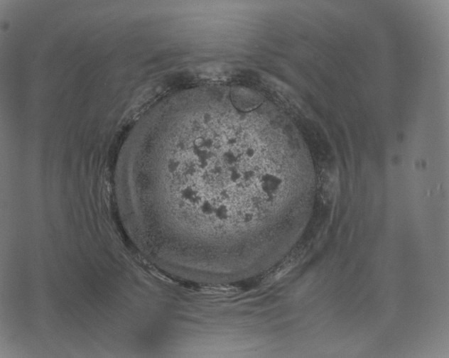 X0000070370707200606231647