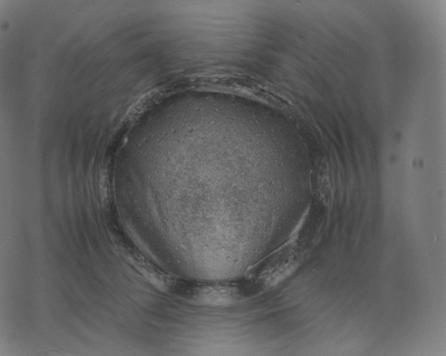 X0000070370708200606231647