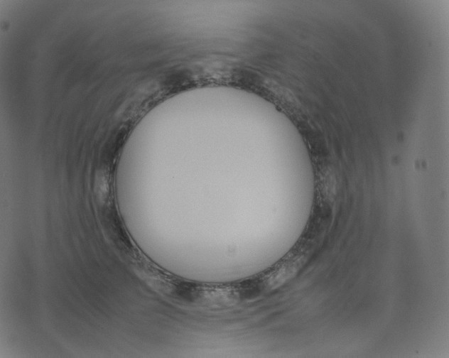 X0000070370709200606231647