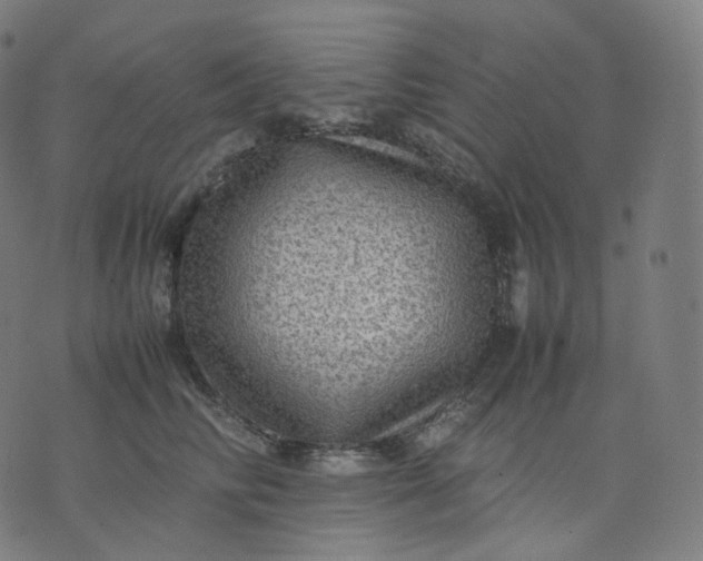 X0000070370710200606231647