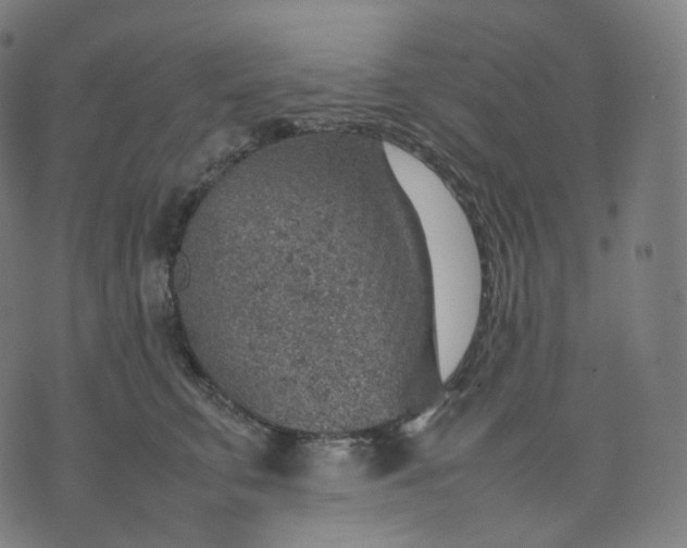 X0000070370711200606231647