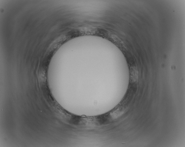 X0000070370713200606231647