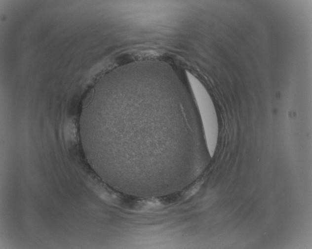 X0000070370715200606231647