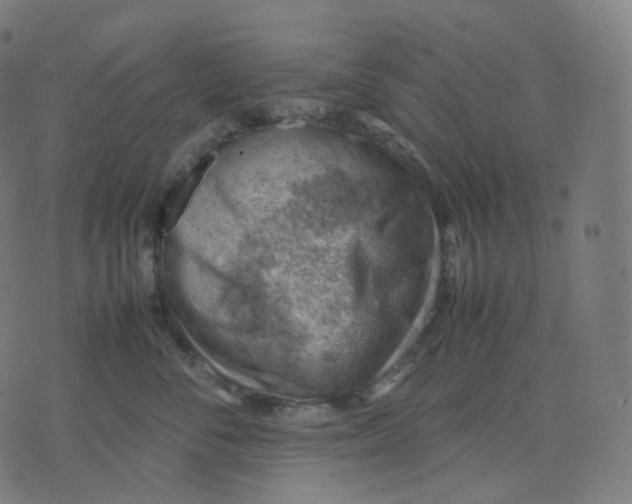 X0000070370716200606231647