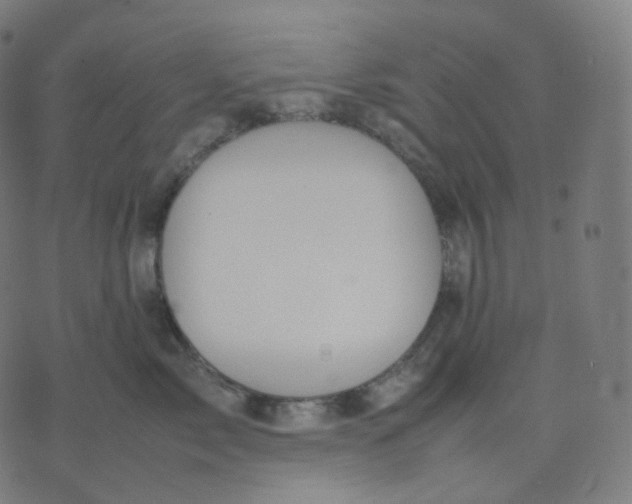 X0000070370717200606231647