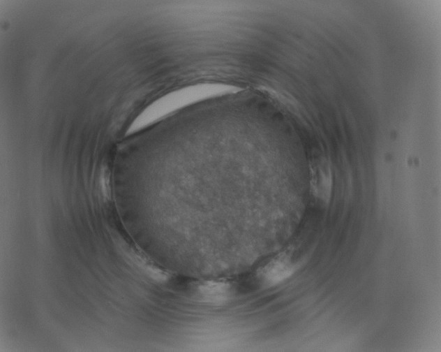 X0000070370718200606231647