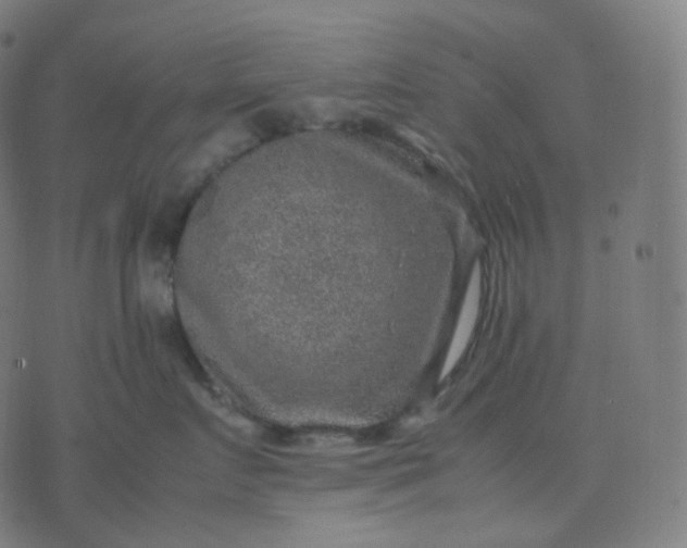 X0000070370719200606231647