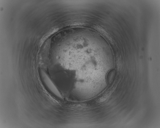 X0000070370721200606231646