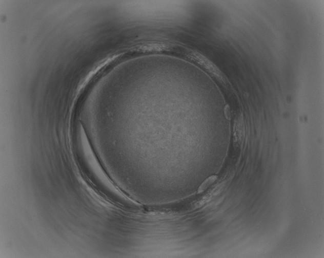 X0000070370722200606231646