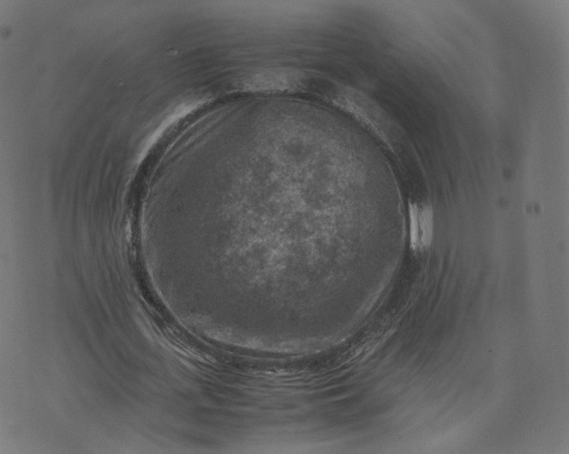 X0000070370723200606231646