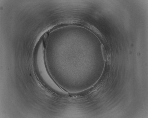 X0000070370724200606231646