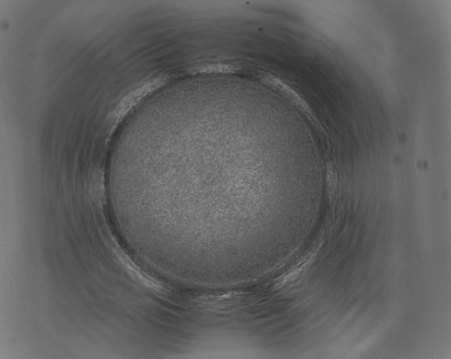 X0000070370725200606231646