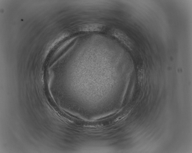 X0000070370727200606231646