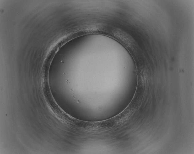 X0000070370728200606231646