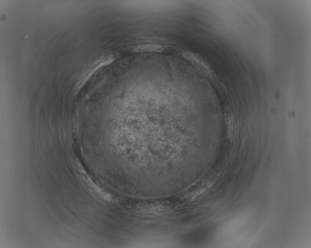 X0000070370729200606231646