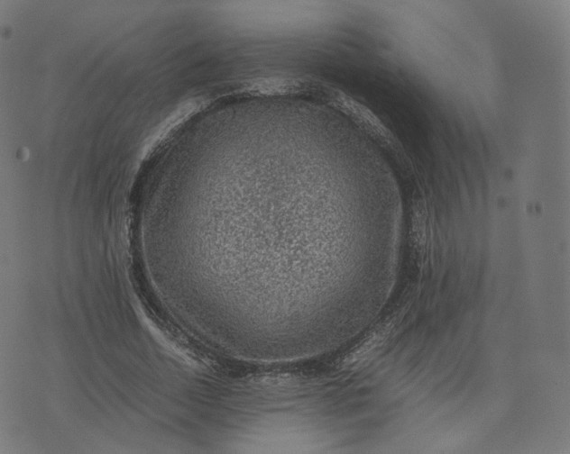 X0000070370730200606231646