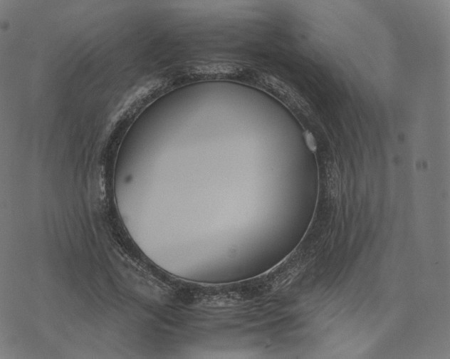 X0000070370731200606231646