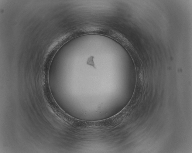 X0000070370732200606231646