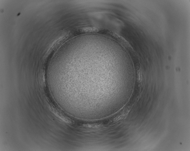 X0000070370733200606231647