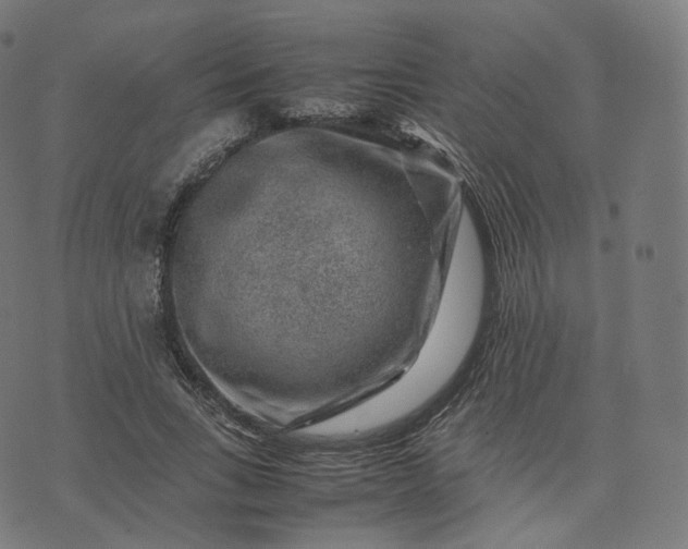 X0000070370735200606231647