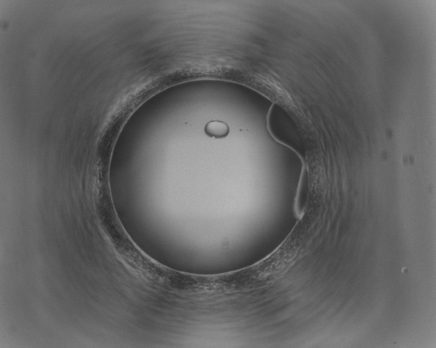 X0000070370736200606231647