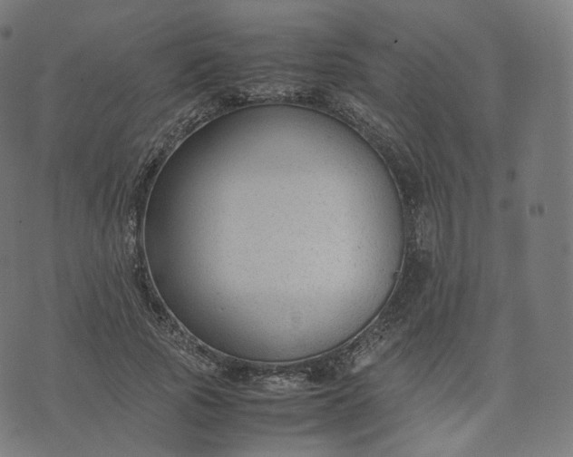 X0000070370737200606231647