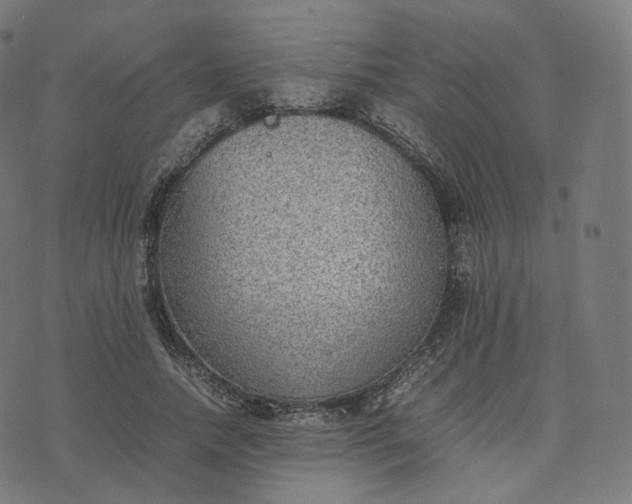 X0000070370738200606231647