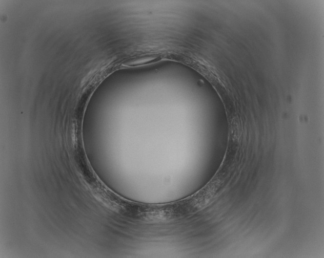 X0000070370740200606231647