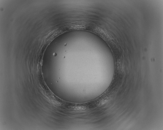 X0000070370741200606231647