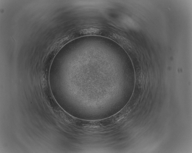 X0000070370743200606231647