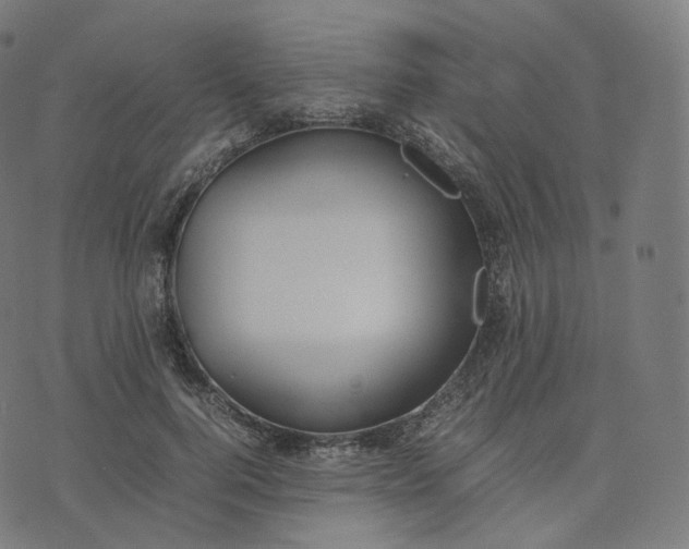 X0000070370744200606231647