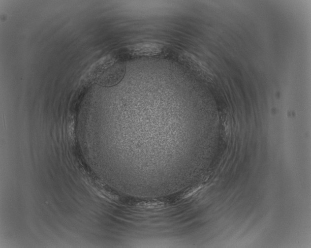 X0000070370745200606231647