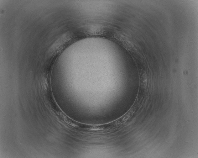 X0000070370746200606231647