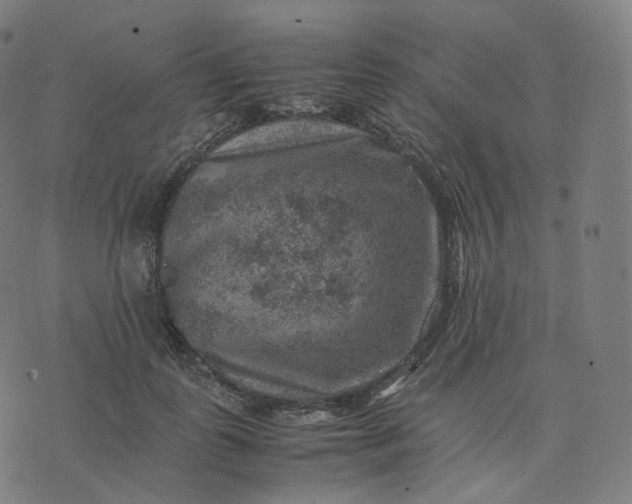 X0000070370747200606231647