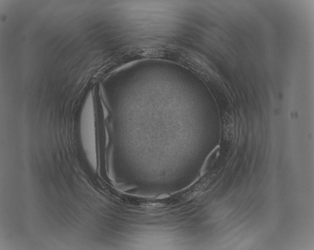 X0000070370748200606231647