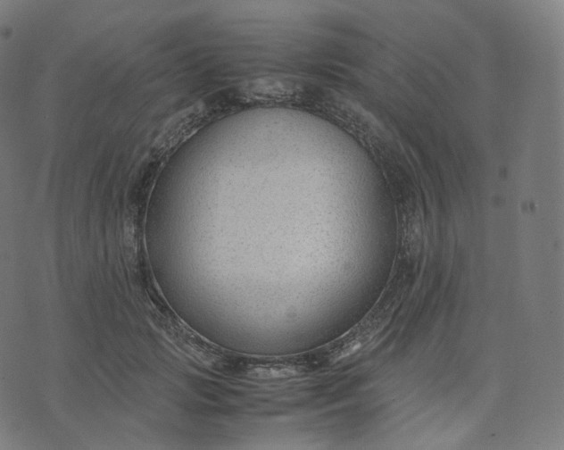 X0000070370749200606231647