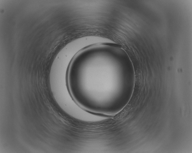 X0000070370750200606231647