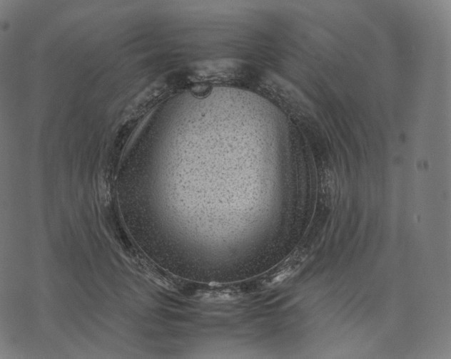 X0000070370751200606231647