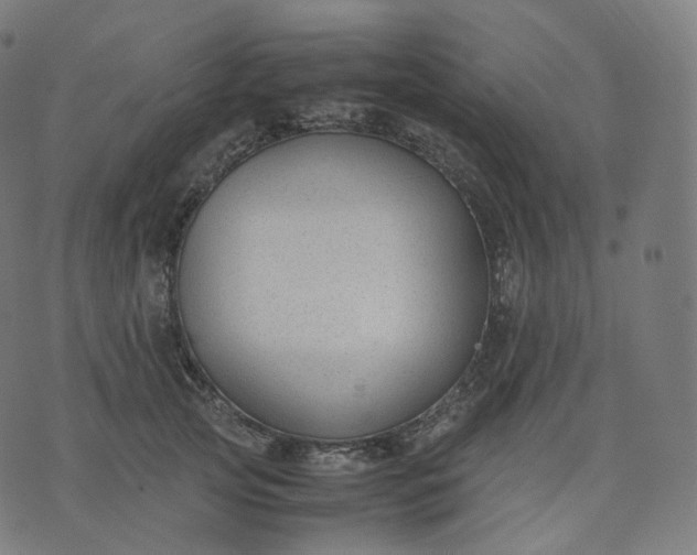 X0000070370753200606231647