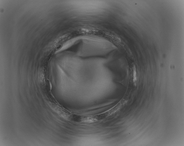 X0000070370754200606231647