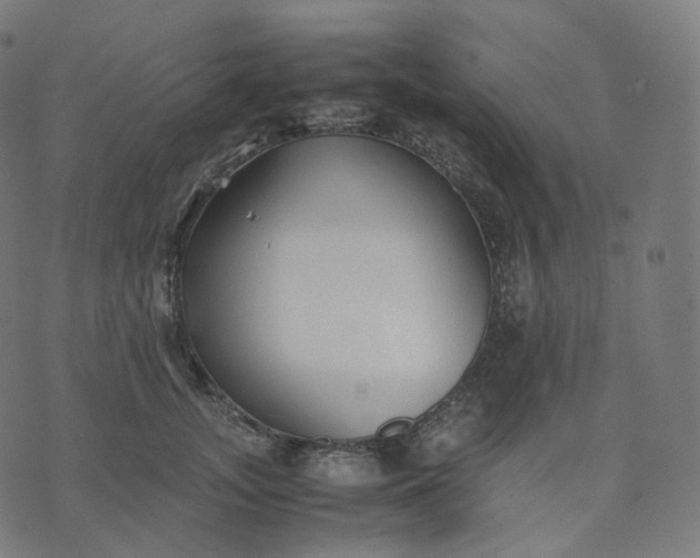 X0000070370755200606231647