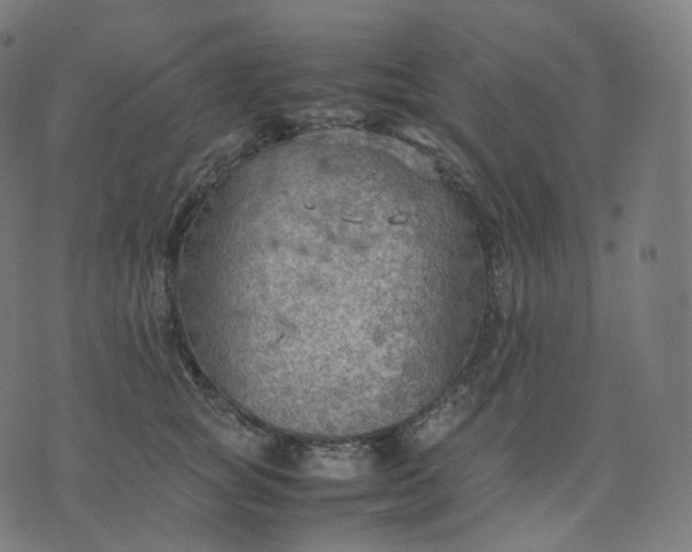 X0000070370757200606231647