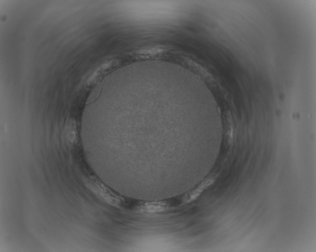 X0000070370758200606231647