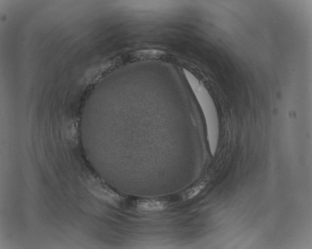 X0000070370759200606231647