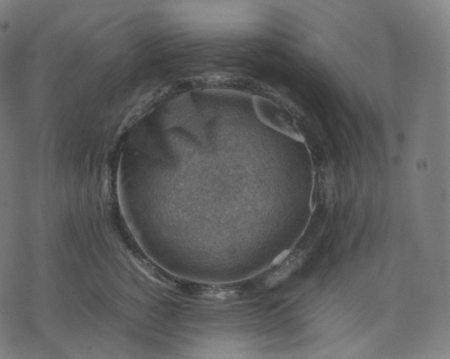 X0000070370760200606231647