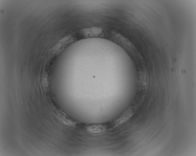 X0000070370761200606231647