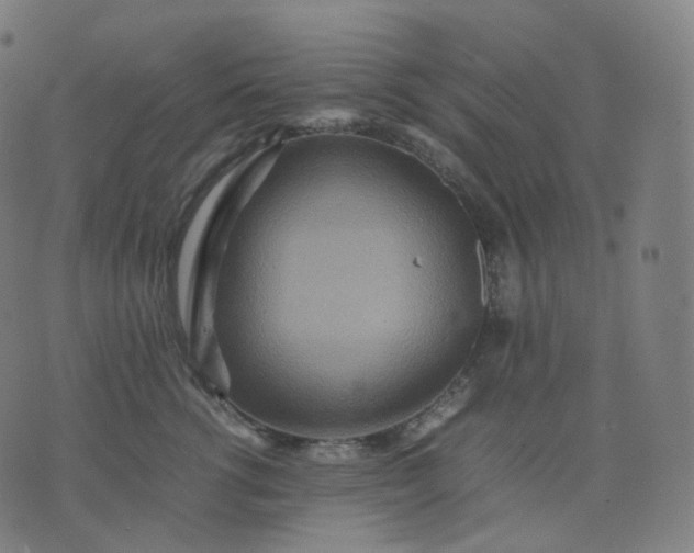 X0000070370762200606231647