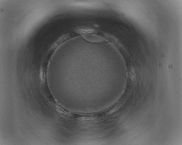 X0000070370763200606231647